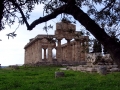 Tempio di Era a Paestum