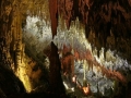pertosa